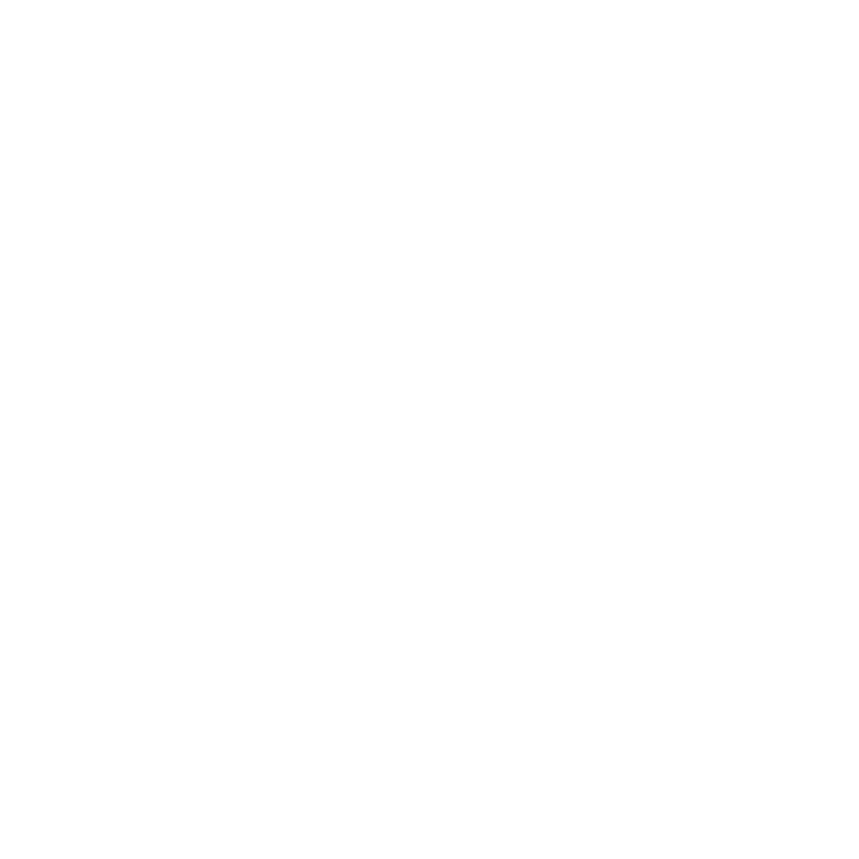 Voyager Visual